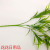 Artificial/Fake Flower Bonsai Wall Hanging Green Plant Coffee Shop Milk Tea Shop and Other Wall Hanging Decorations