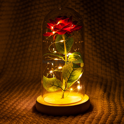 Preserved Fresh Flower Glass Cover Simulation Gold-Foil Roses LED Light Valentine's Day Christmas Gift Creative Gift Decoration