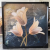 Frosted Painting Square Frosted Handmade Gilding Line Decorative Painting Nordic Abstract Animal Beauty Flower Photo Frame Decoration