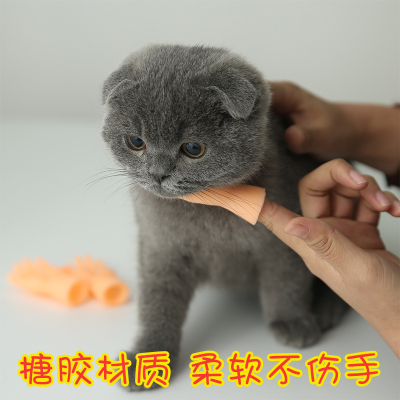 Pet Cat Petting Finger Stall