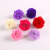 2022 New Single Stem 2 Carnation Soap Flower Mother's Day Gift Cross-Border Wholesale Artificial Flower Gift