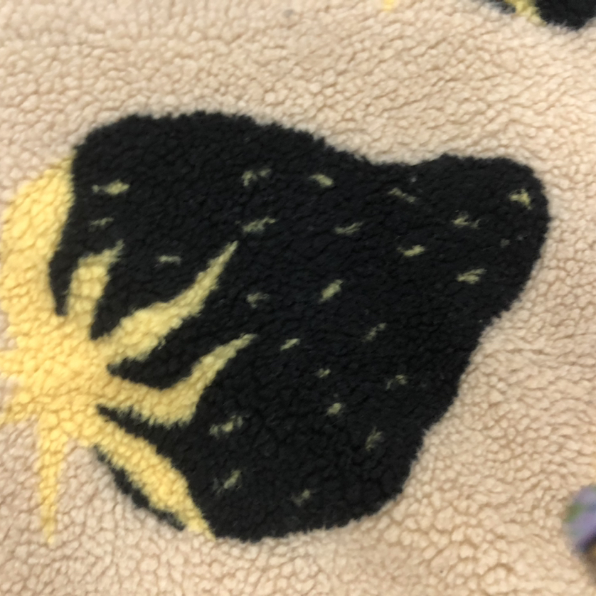 土黄大草莓羊羔绒