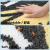 Plush Mats Ins Cartoon Living Room and Toilet Absorbent Bathroom Non-Slip Rug Entrance Home Use Bedroom Foot Mat Carpet