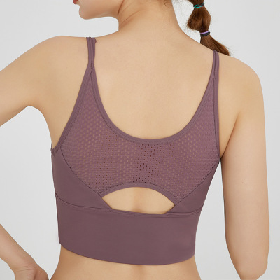 Sports Bra Sport Shockproof Wireless Push up Mesh Stitching Breast Holding Fitness Adjustable Underwear Bra