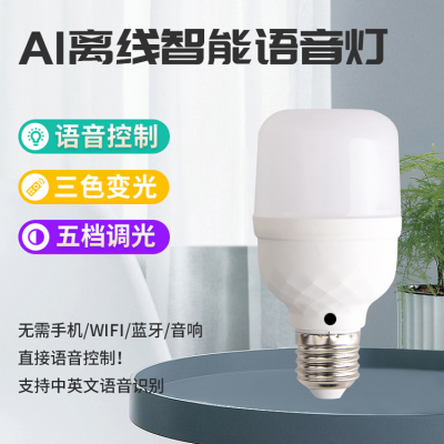 LED Intelligent Voice Control Bulb Speaking Control Switch Lights Voice Control Household Double Color Lamp Chinese/English