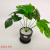 Artificial/Fake Flower Potted Flowers Ceramic Basin Green Plant Leaves Daily Use Ornaments