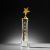 Creative Wheat Crystal Trophy Metal Trophy Five-Pointed Star Gold Silver Excellent Staff Award Member Medal