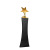 Creative Wheat Crystal Trophy Metal Trophy Five-Pointed Star Gold Silver Excellent Staff Award Member Medal