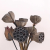 New Natural Dried flower Lotus DIY decoration for home party office decorative pressed flowers 1pcs