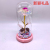 with Light and Music Rose Couple Glass Cover Flower