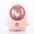 New USB Cute Pet Night Light Cartoon Strawberry Rabbit Hand Warmer Power Bank Cute Spaceman Heating Pad Hand Warmer