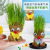 Toothed Burclover Doll Small Pot Plant Plant Watering with Long Grass on Head Mini Green Plant Kindergarten Children Planting Wholesale