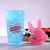 New Cute Rabbit Ears Straw Cup Creative Cool Rabbit Ice Cup Fashion 480ml Double Layer Straw Plastic Cup
