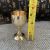 Brass Wine Glass Wholesale Worship Wine Cup Chinese Cup for Wine Water Cup Worship Supplies