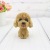 Car Head-Shooking Dog Decoration inside the Car Decoration Resin Crafts Dog Doll Genuine Cute Pet Dog