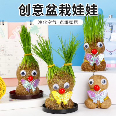 Toothed Burclover Doll Small Pot Plant Plant Watering with Long Grass on Head Mini Green Plant Kindergarten Children Planting Wholesale