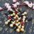 Supply Copper Gourd Keychain Twelve Zodiac Copper Ornaments Key Pendants Factory Wholesale