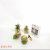 Artificial/Fake Flower Bonsai Ceramic Basin Multi-Meat Desk Bar Counter and Other Ornaments