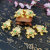 Supply Alloy Inlaid Jewel Tripod Toad Electroplating Toad Alloy Handicrafts Decoration Factory Wholesale