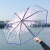 Cherry Blossom Transparent Umbrella