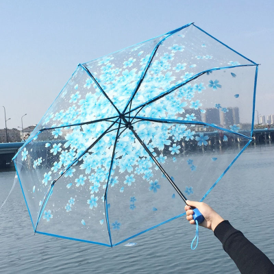 Cherry Blossom Transparent Umbrella
