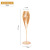 Glass Household Multi-Purpose Amber Crystal Glasses Goblets Wine Glass Champagne Glass Glass Wine Glass Wholesale Spot