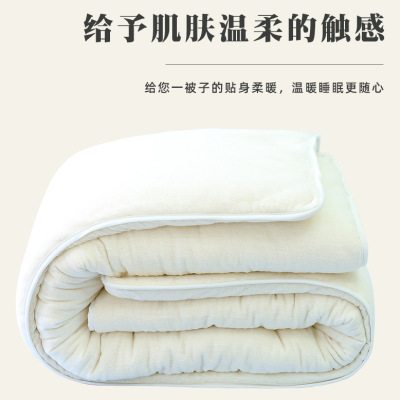 Xinjiang Grade 1 Cotton Quilts Students Winter Quilt Spring and Autumn Quilt Pure Cotton Pad Quilt Cotton Covered Quilt Thick Warm