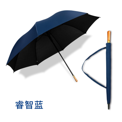 Long Handle Umbrella