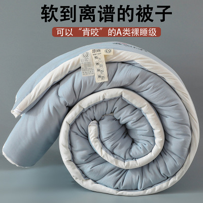 Class A Raw Cotton Three-Dimensional Soybean Washed Cotton Thick Warm Winter Duvet Spring and Autumn Duvet Insert Live Hot Quilt Wholesale