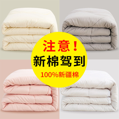 Cotton Xinjiang Cotton Quilt Thickened Thermal Quilt Winter Quilt Cushion Single Double Cotton Mattress 1.5 M1.8m