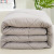 Cotton Xinjiang Cotton Quilt Thickened Thermal Quilt Winter Quilt Cushion Single Double Cotton Mattress 1.5 M1.8m