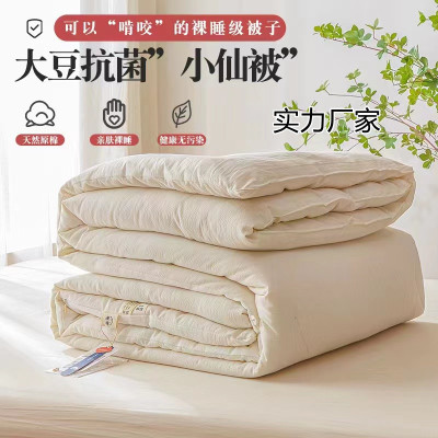 Class A Maternal and Child Grade Soybean Synthetic Quilt Four Seasons Universal 100% Cotton Quilt Inner Thick Warm Winter Duvet Spring and Autumn Quilt