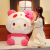 New Sanrio Clow M Melody Cinnamoroll Babycinnamoroll Transformation Panda Plush Doll Doll Cross-Border Toys