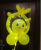 New Cartoon Luminous Balloon Cute DIY Street Style Bounce Ball DIY Night Market Stall Hot Push Scan Code