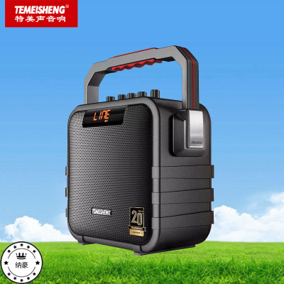 Temeisheng SL05-26 Audio Outdoor Portable High Power Home Karaoke Bluetooth Charging Speaker with Wireless Microphone