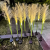Solar Waterproof Optical Fiber Reed Lamp Lawn Lamp