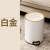 Stainless Steel Trash Can Light Luxury Style with Lid Bedroom Internet Celebrity Household Living Room and Kitchen Large