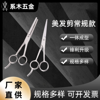 6.0-Inch Stainless Steel Oblique Tail Hair Cutting Scissors Professional Haircut Hair Cutting Scissors Knife Straight Snips Fringe Scissors Thinning Scissors Thinning Shear