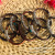 Wholesale Tibet Spatholobus Bracelet Authentic Thin Open-End Bangle No Festival Tibetan Silver Ancient Style Bracelet Stall Crafts Night Market