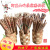 Alishan Printing Bamboo Chopsticks Hand-Polished Smooth Non-Thorn Factory Wholesale Stall Market Supply