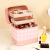 Large Capacity Cosmetic Bag Multifunctional Makeup Bag Easy to Carry Ins Style Women's Portable 2022 New Cosmetics Storage Box Skin Care Box