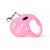 Popular Pet Hand Holding Rope Dog Hand Holding Rope Automatic Extendable Portable Teddy/French Bulldog Dog Artifact