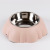 Cross-Border New Arrival Pet Bowl Stainless Steel Single Bowl Non-Slip Dog Basin Cat Feeding Supplies Plastic Single Bowl One-Piece Delivery