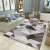 Living Room Bedroom Carpet Balcony Sofa and Tea Table Carpet Indoor Non-Slip Crystal Velvet Floor Mat Easy-Care Mat