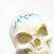 New Halloween Skull Mask Foreign Trade Supply Cross-Border Hot Selling Cosplay Party Supplies Horror Mask