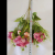 Factory Direct Sales Practical Simulation Plastic Flowers 7 Fork 10 Peony Combination Shooting Props Indoor and Outdoor Decoration DIY Flower Arrangement