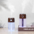 Wood Grain Colored Light Humidifier Moisturizing Instrument Sprayer