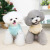 Pet Clothes Dog Clothes Winter New Double-Sided Flannel Fluffy Jacket Pet Clothing 22 Cute Fluffy Jacket Wholesale