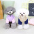 Pet Dog Cat Clothes Puppy Clothes Autumn and Winter Pet Clothing Two Legs Fluffy Jacket 22 Polar Fleece Sweatshirt