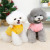 Pet Clothes Dog Clothes Winter New Double-Sided Flannel Fluffy Jacket Pet Clothing 22 Cute Fluffy Jacket Wholesale